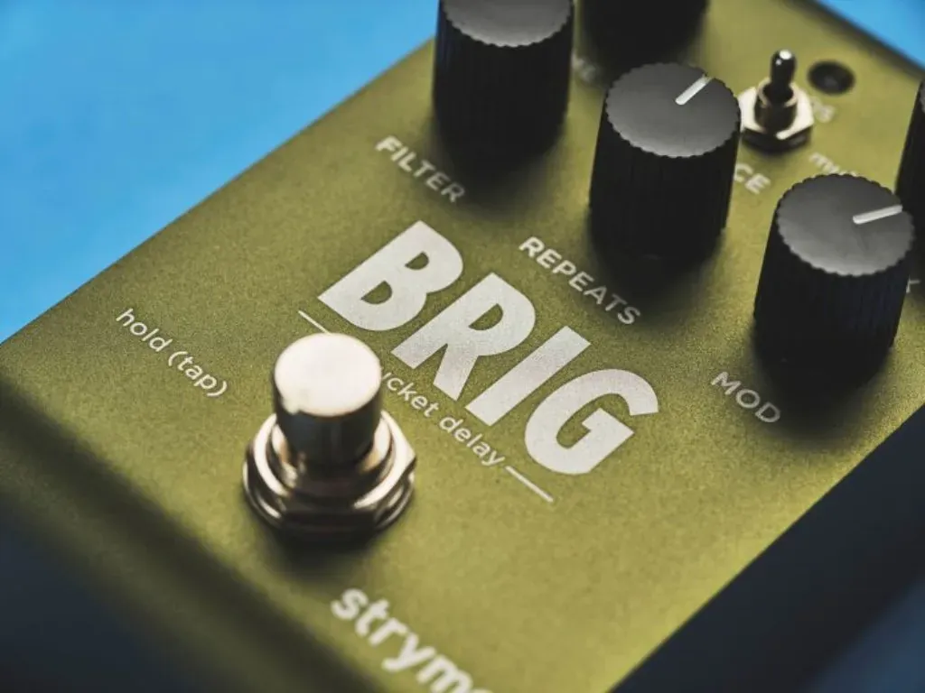 Педаль Strymon Brig