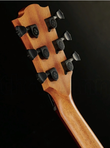 LAG Guitars T70DC