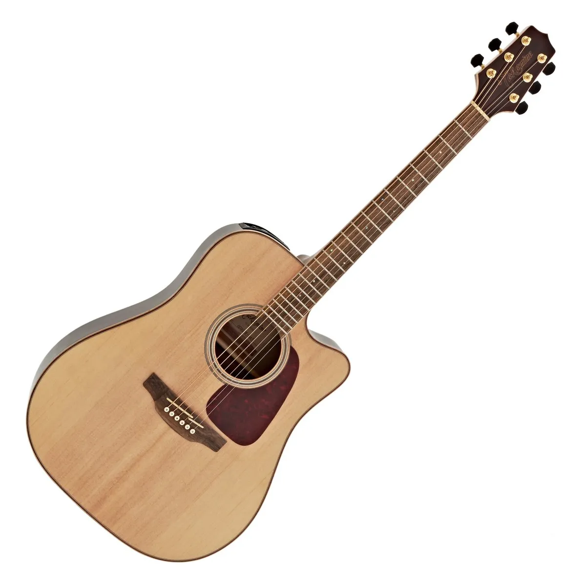 Takamine GD93CE