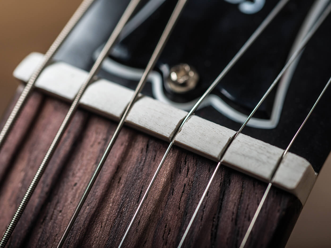 Gibson Les Paul Standard ’50s & Les Paul Tribute