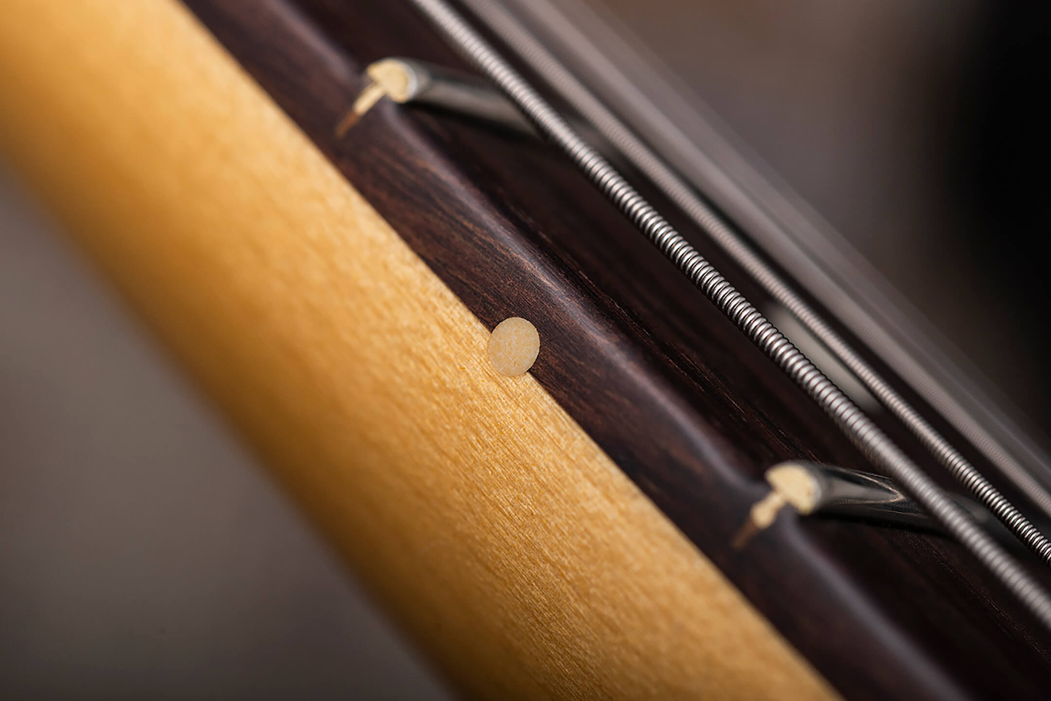 Fender American Professional II Stratocaster & Telecaster