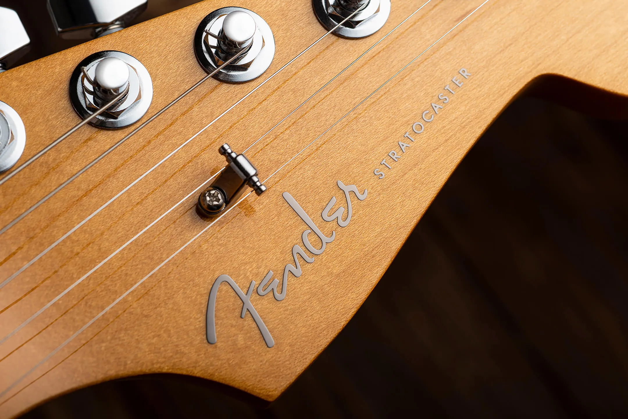 Fender Player Plus Stratocaster