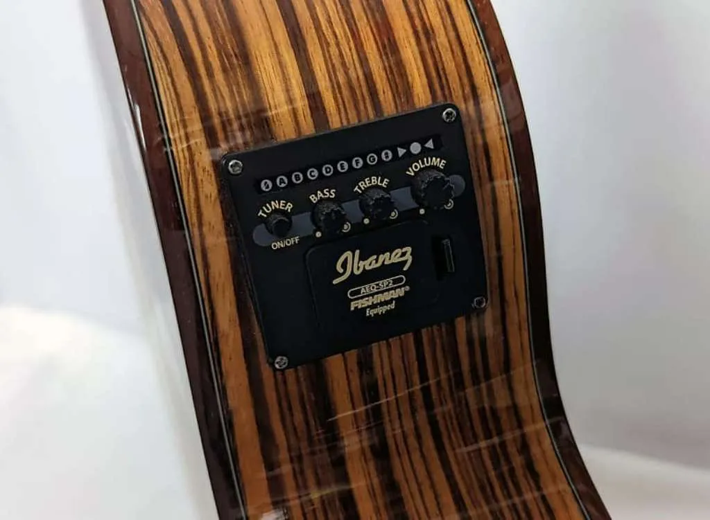 Ibanez Exotic Wood AEW40ZW