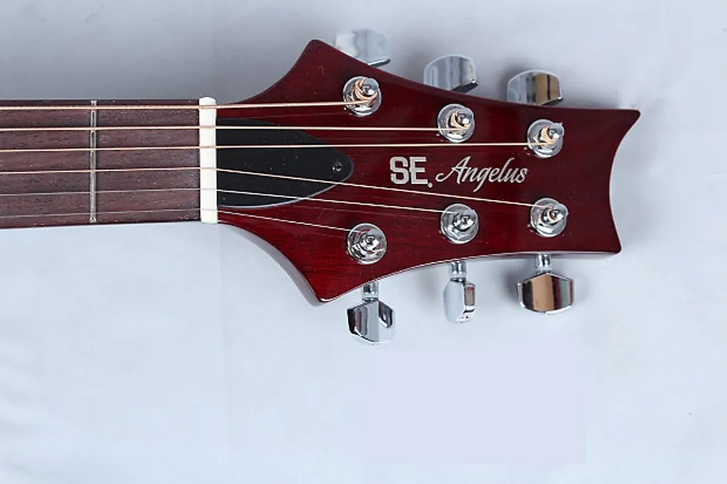 PRS SE Angelus A10E