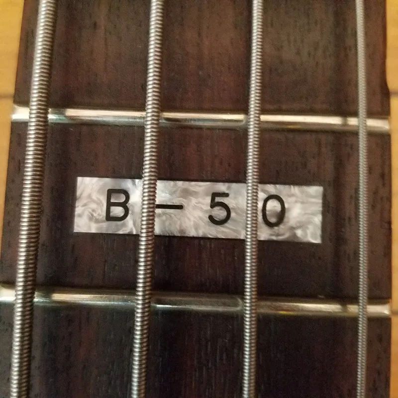 ESP LTD B-50