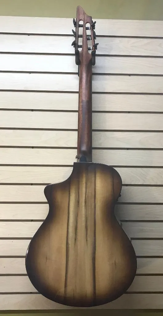 Breedlove Pursuit Nylon