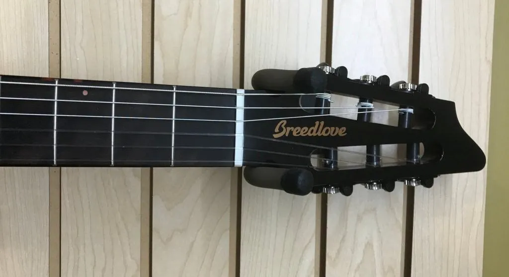 Breedlove Pursuit Nylon