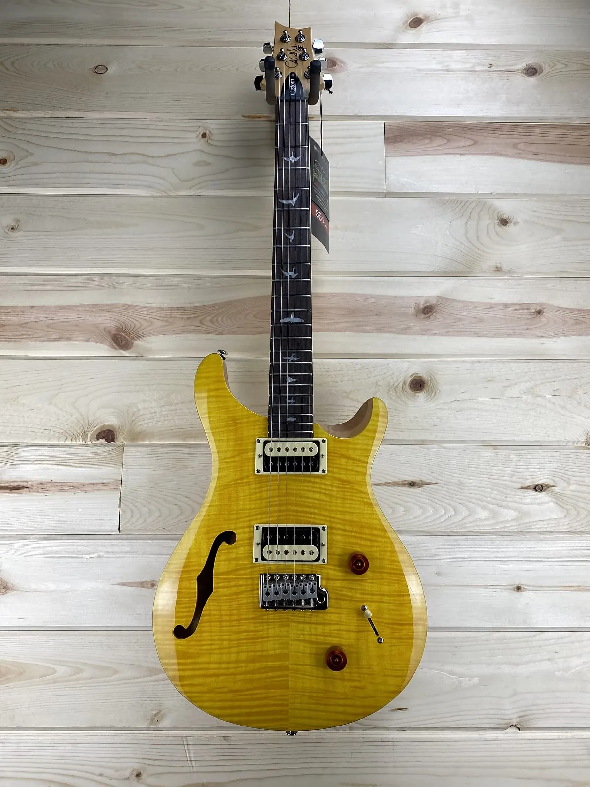 PRS SE Custom 22 Semi-Hollow