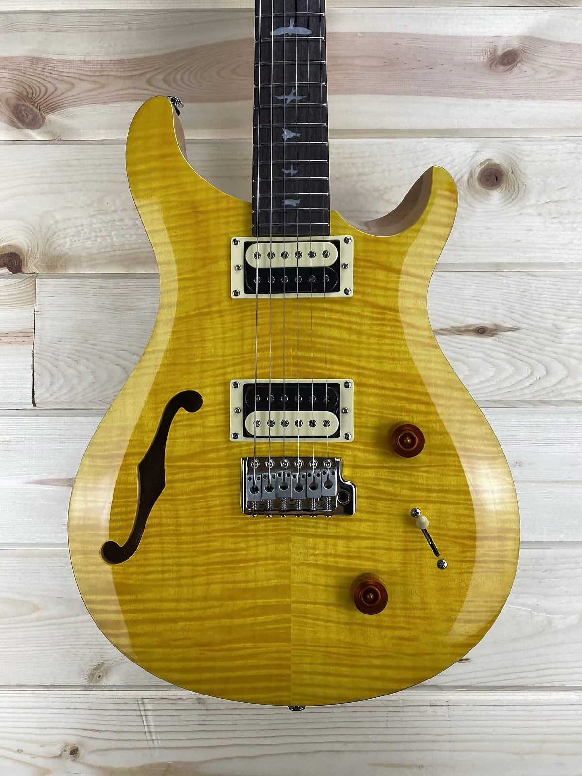 PRS SE Custom 22 Semi-Hollow