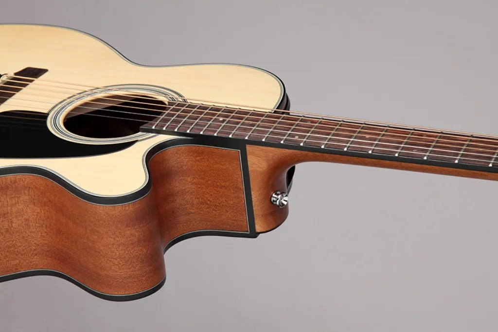 Takamine GX18CE-NS