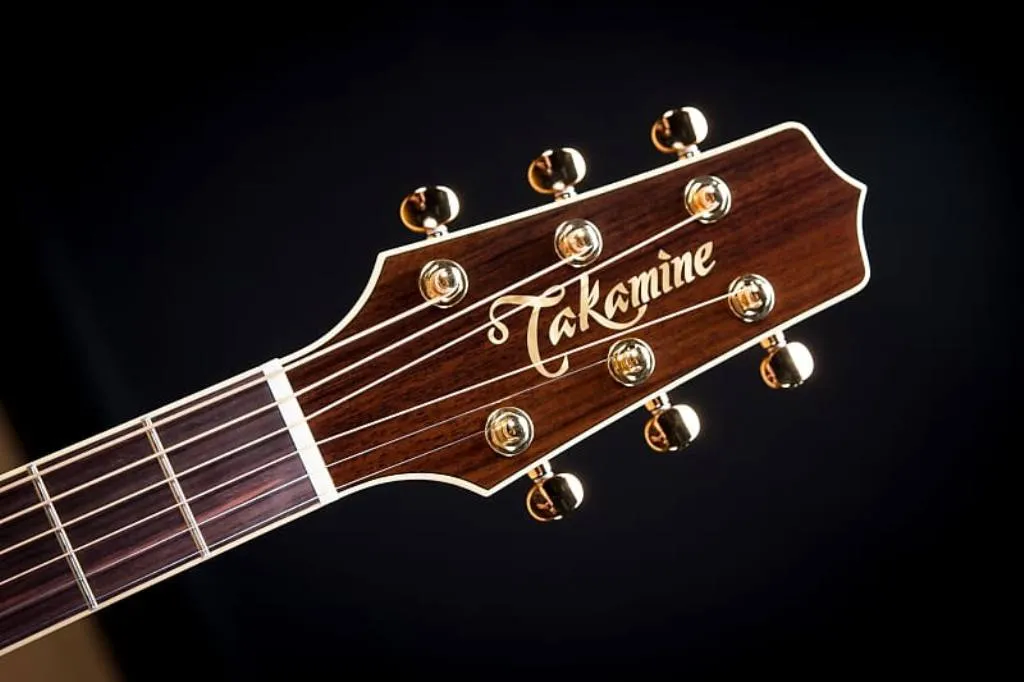 Takamine TSP 138C