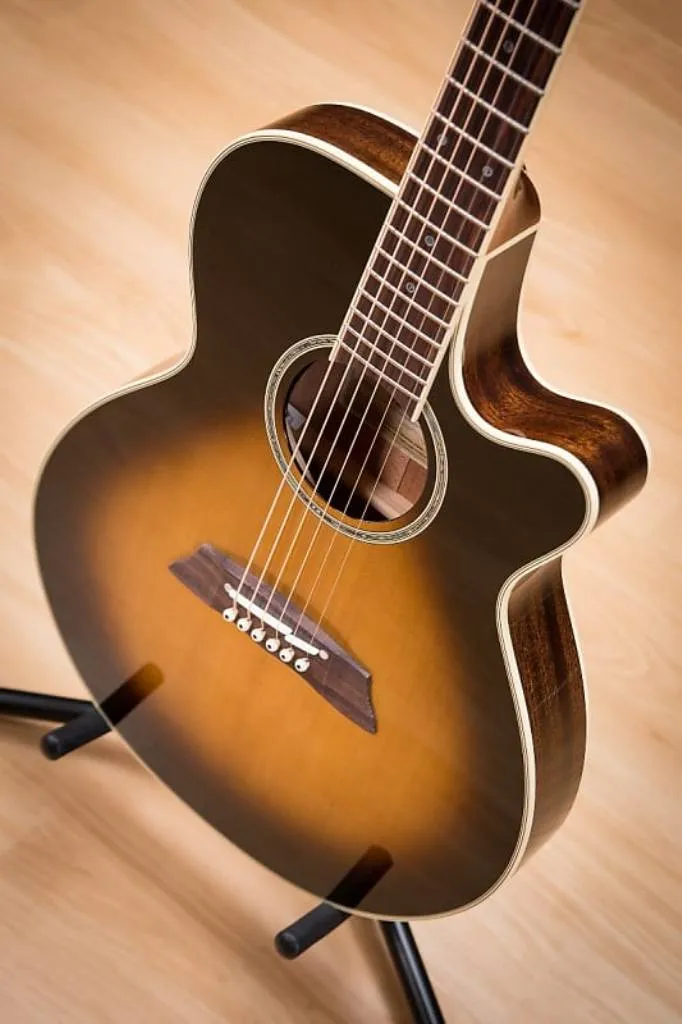 Takamine TSP 138C