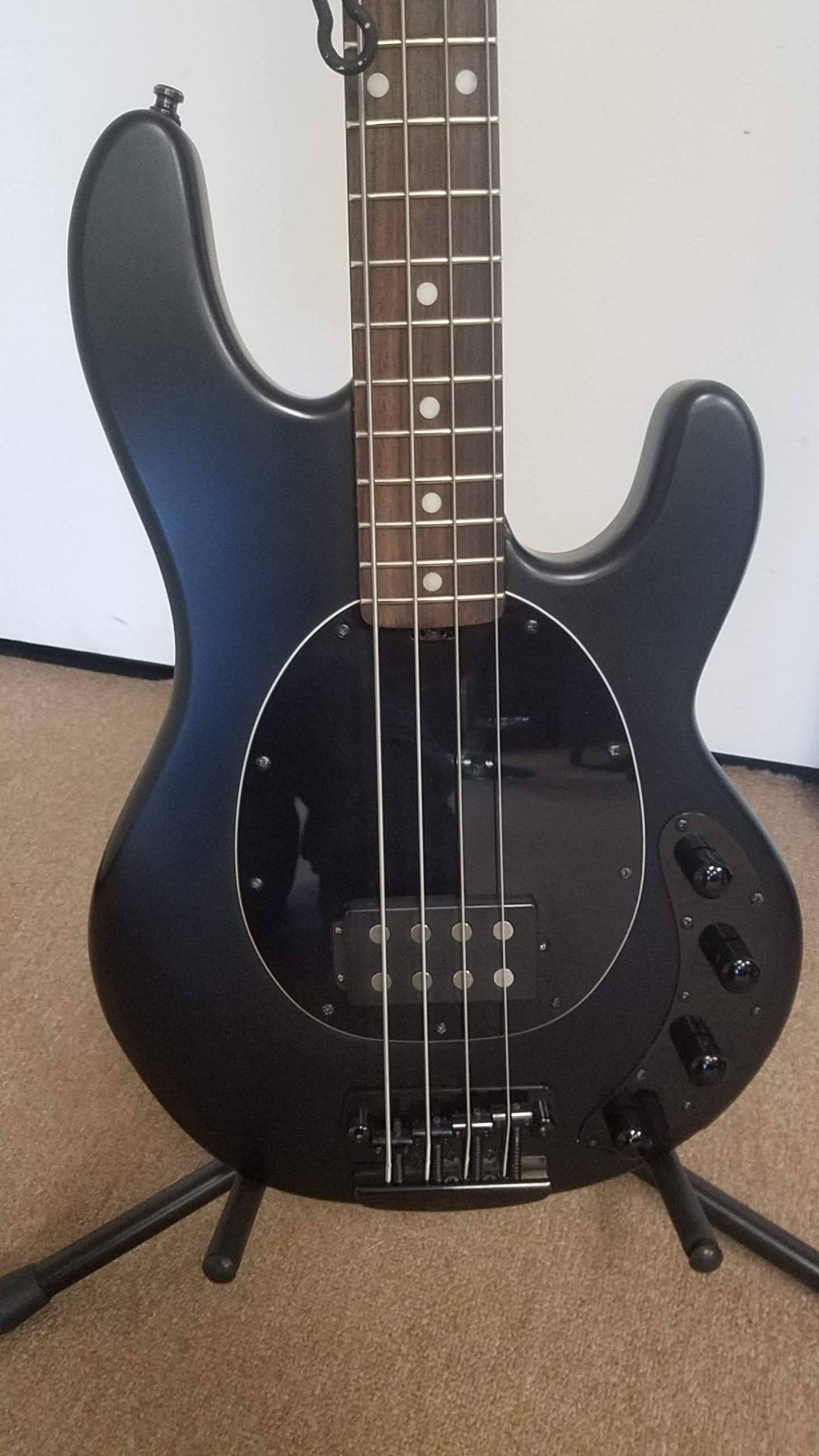 Sterling by Music Man RAY34