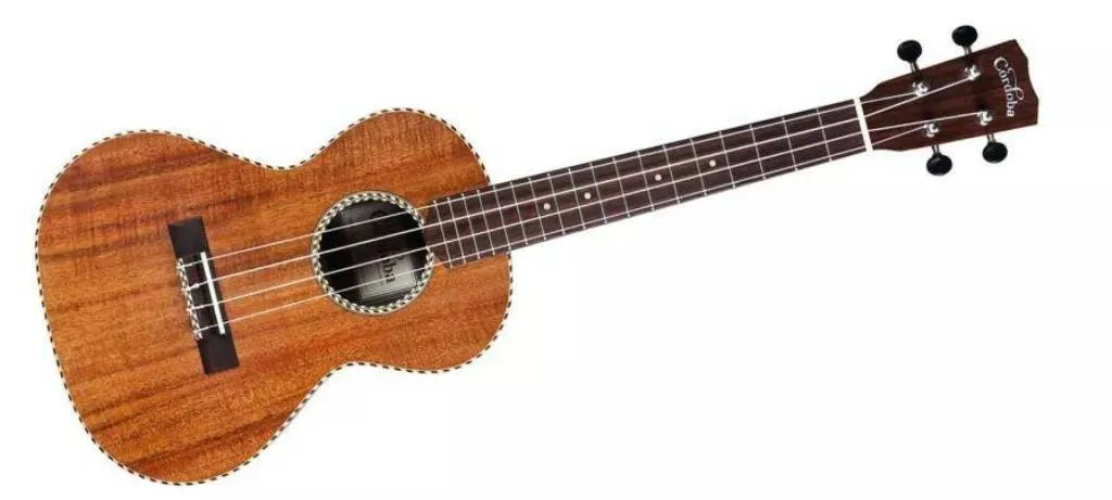 Cordoba 25T Tenor Ukulele