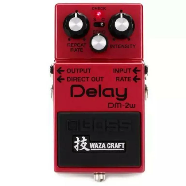 Boss DM-2W Delay