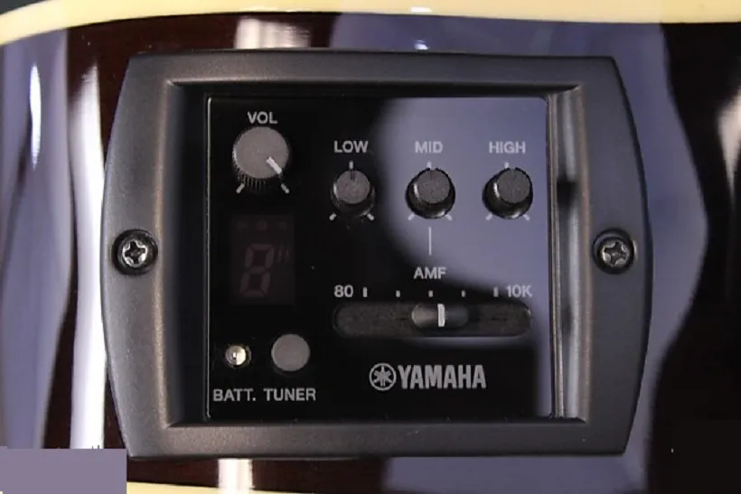 Yamaha APX500II