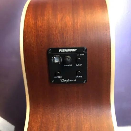 Tanglewood Evolution IV TAB1-CE