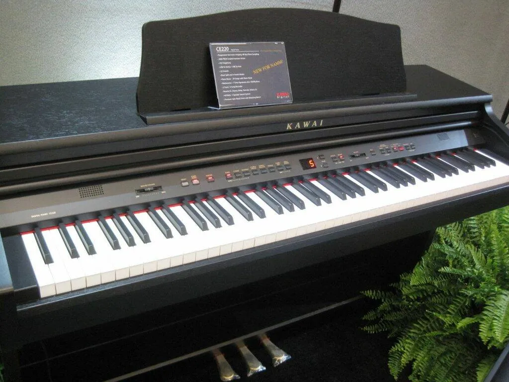 Kawai CE220