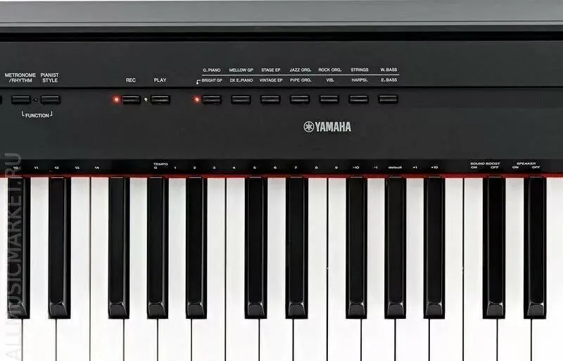 Yamaha P-115