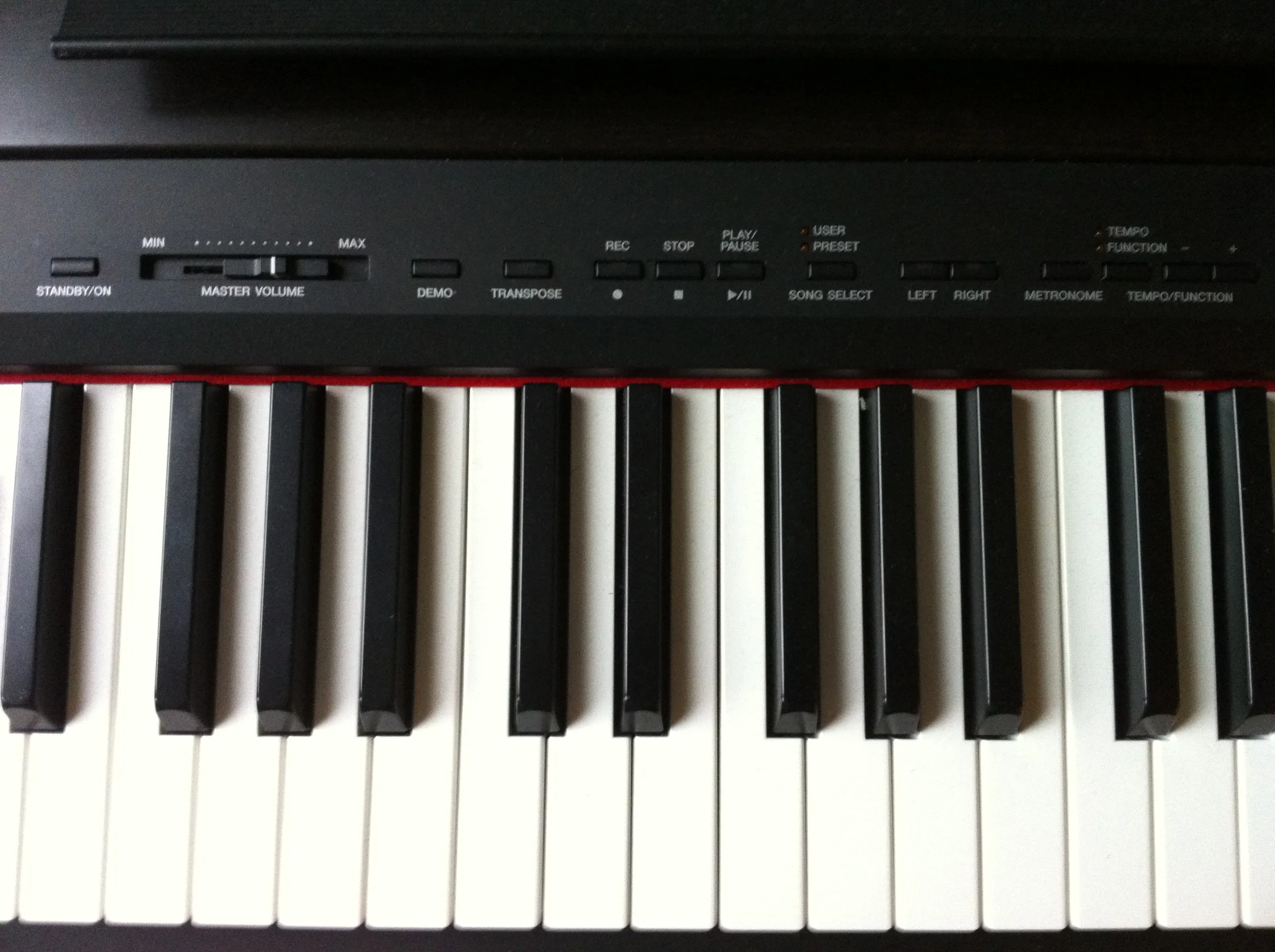 Yamaha P-105