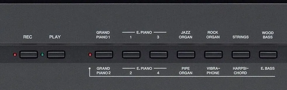 Yamaha P-105