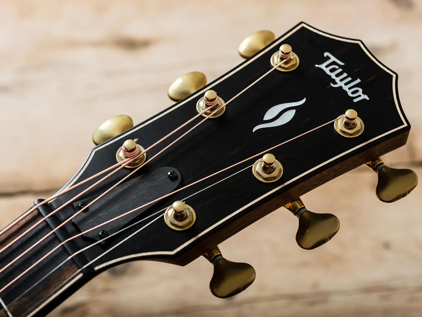 Taylor Guitars Builder’s Edition 816ce