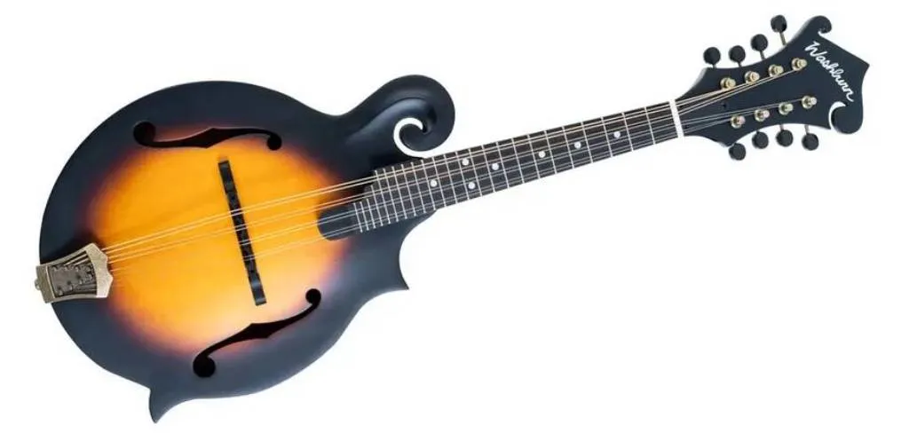 Washburn Americana M108SW