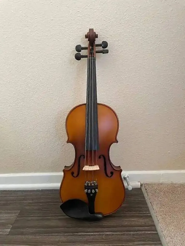 Скрипка Cecilio CVN-300