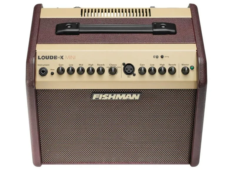 Усилитель Fishman Loudbox Mini