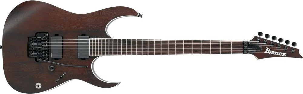 Гитара для металла Ibanez Iron Label RG Series RGIR20BE