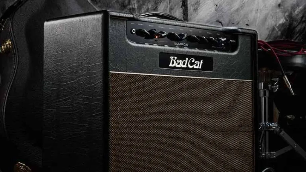 Комбоусилитель Bad Cat Black Cat 1x12