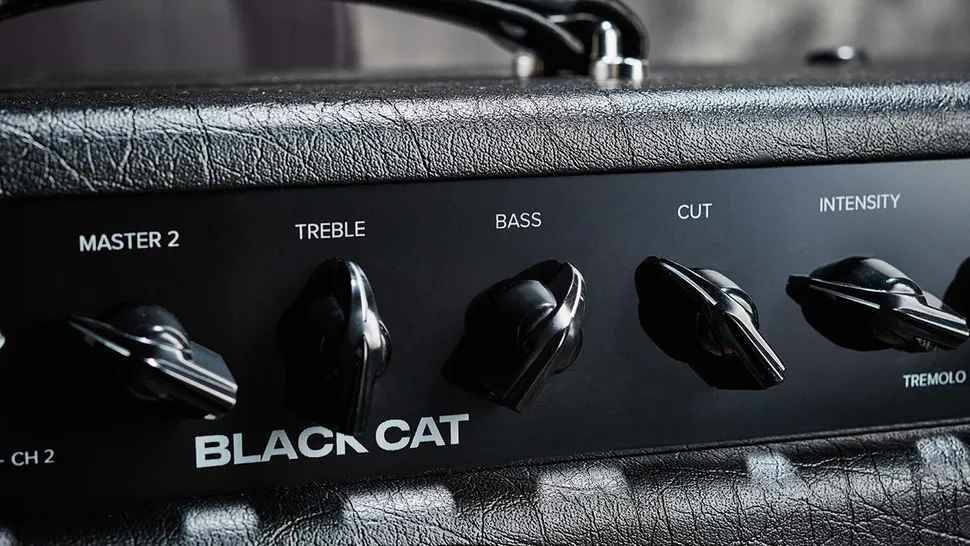 Комбоусилитель Bad Cat Black Cat 1x12
