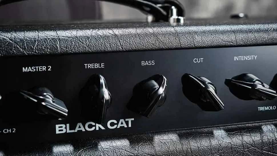 Комбоусилитель Bad Cat Black Cat 1x12