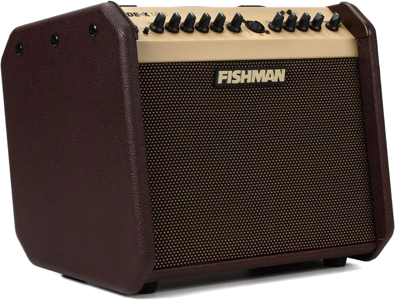 Комбоусилитель Fishman Loudbox Mini