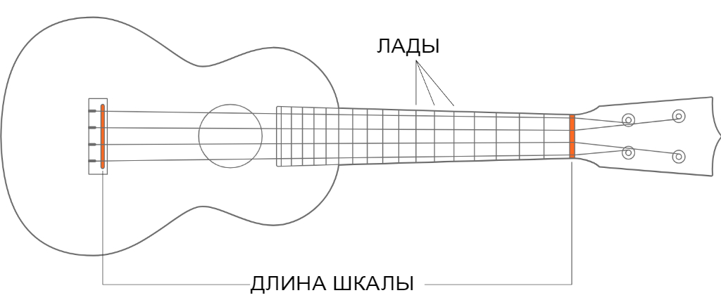 Диаграмма концертных и теноровых укулеле