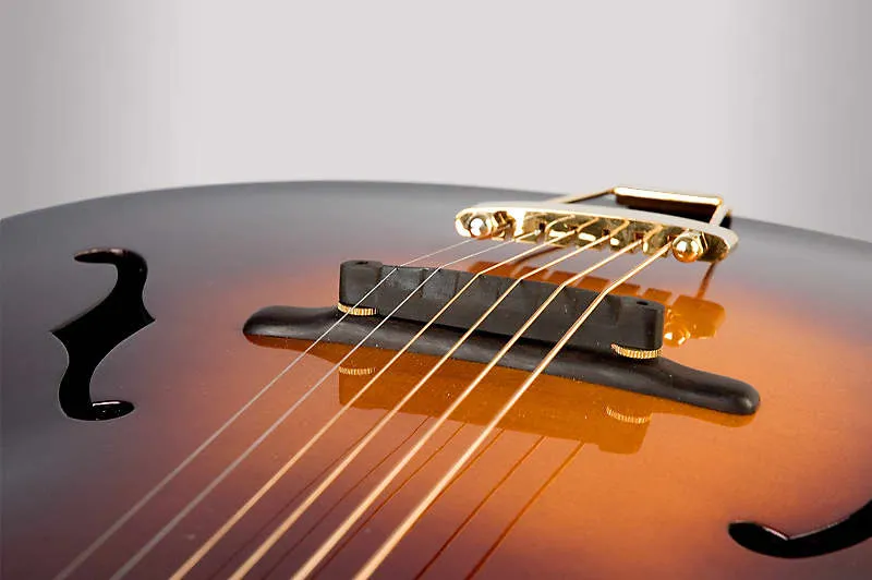 The Loar LH-700 Archtop