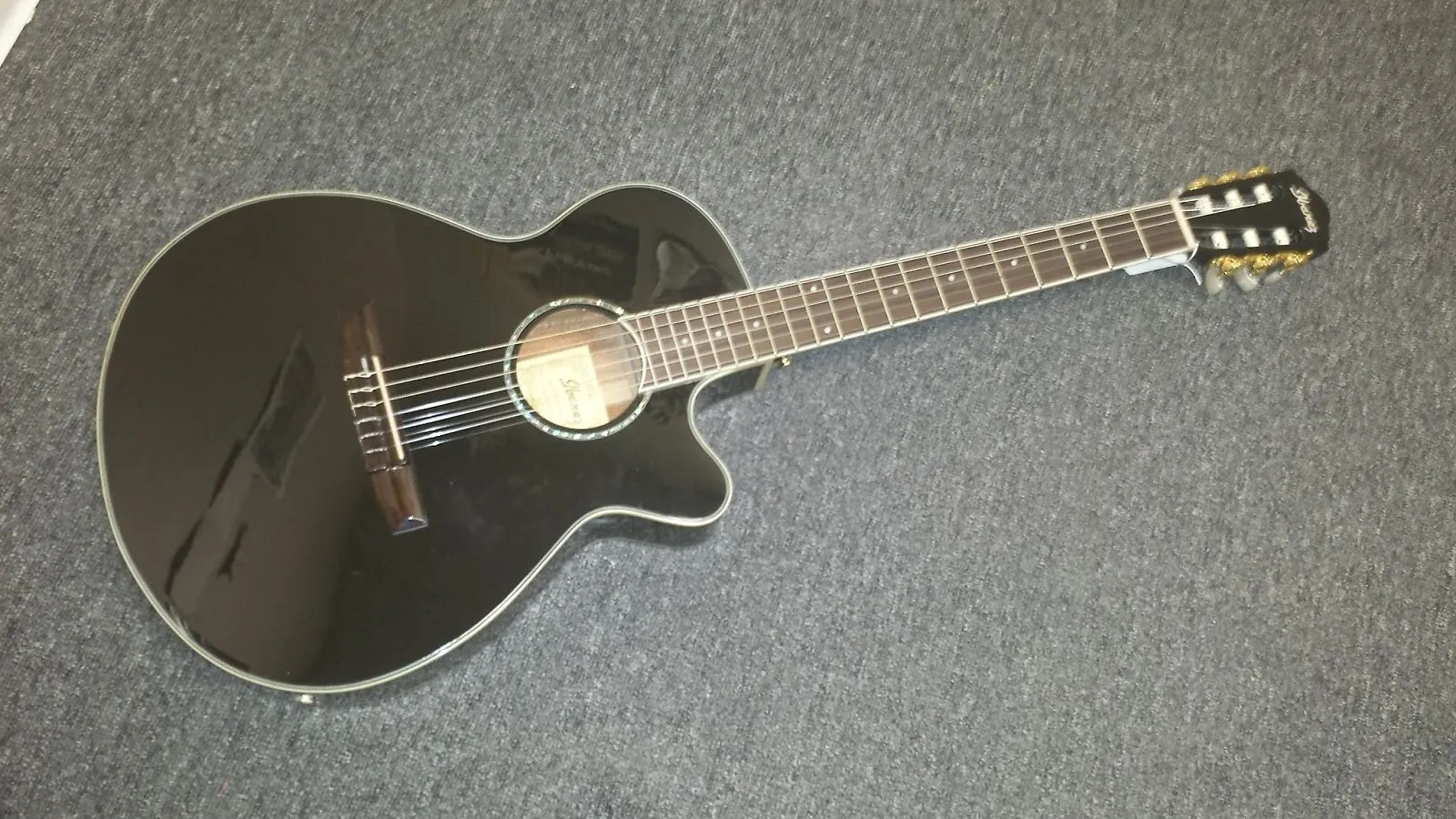 Ibanez AEG10NII