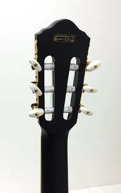 Ibanez AEG10NII