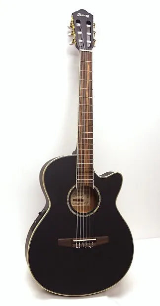 Ibanez AEG10NII