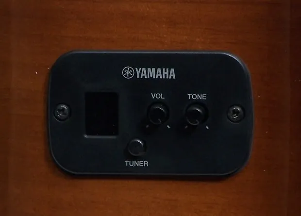 Yamaha CGX102