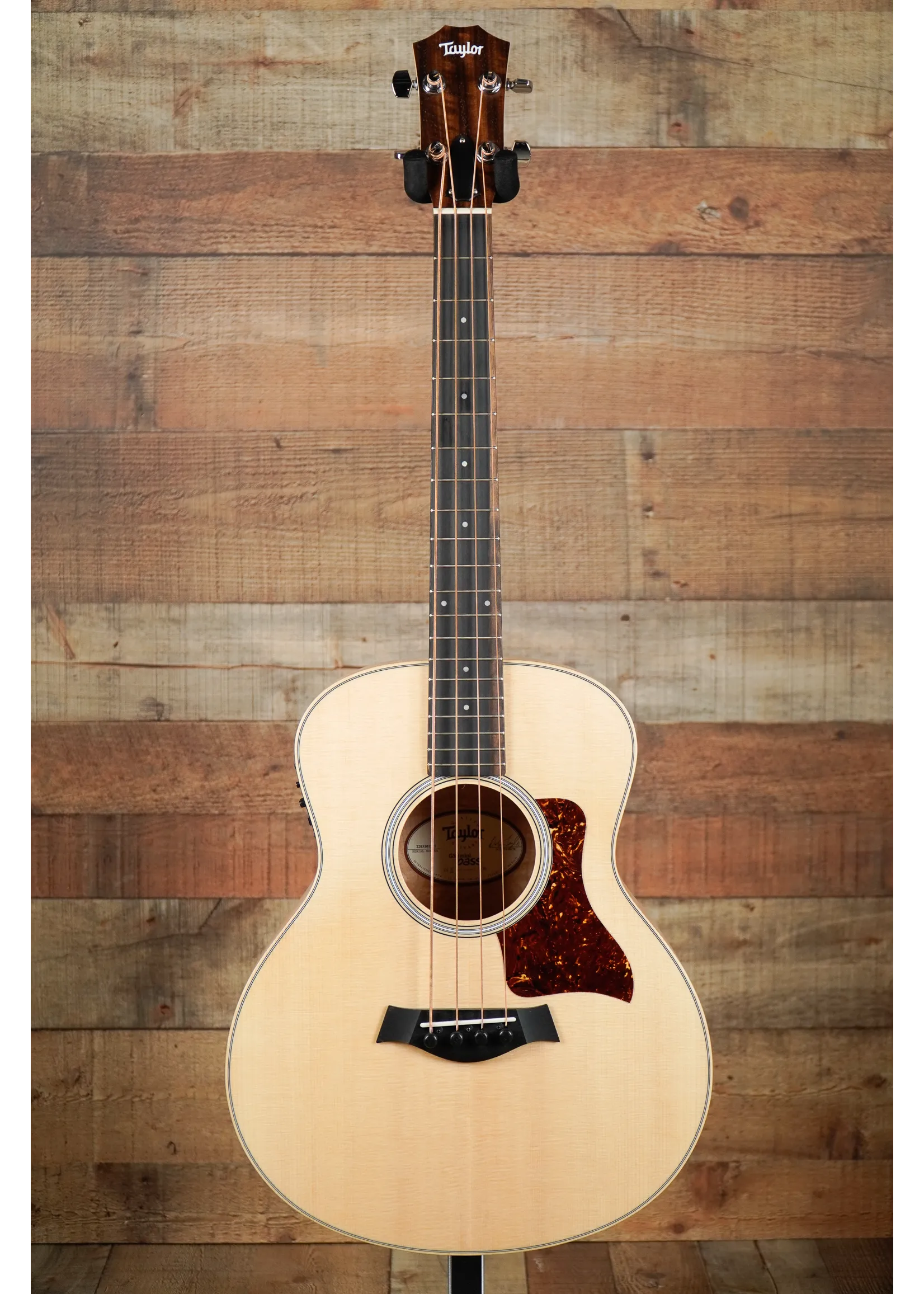 Taylor GS Mini-e