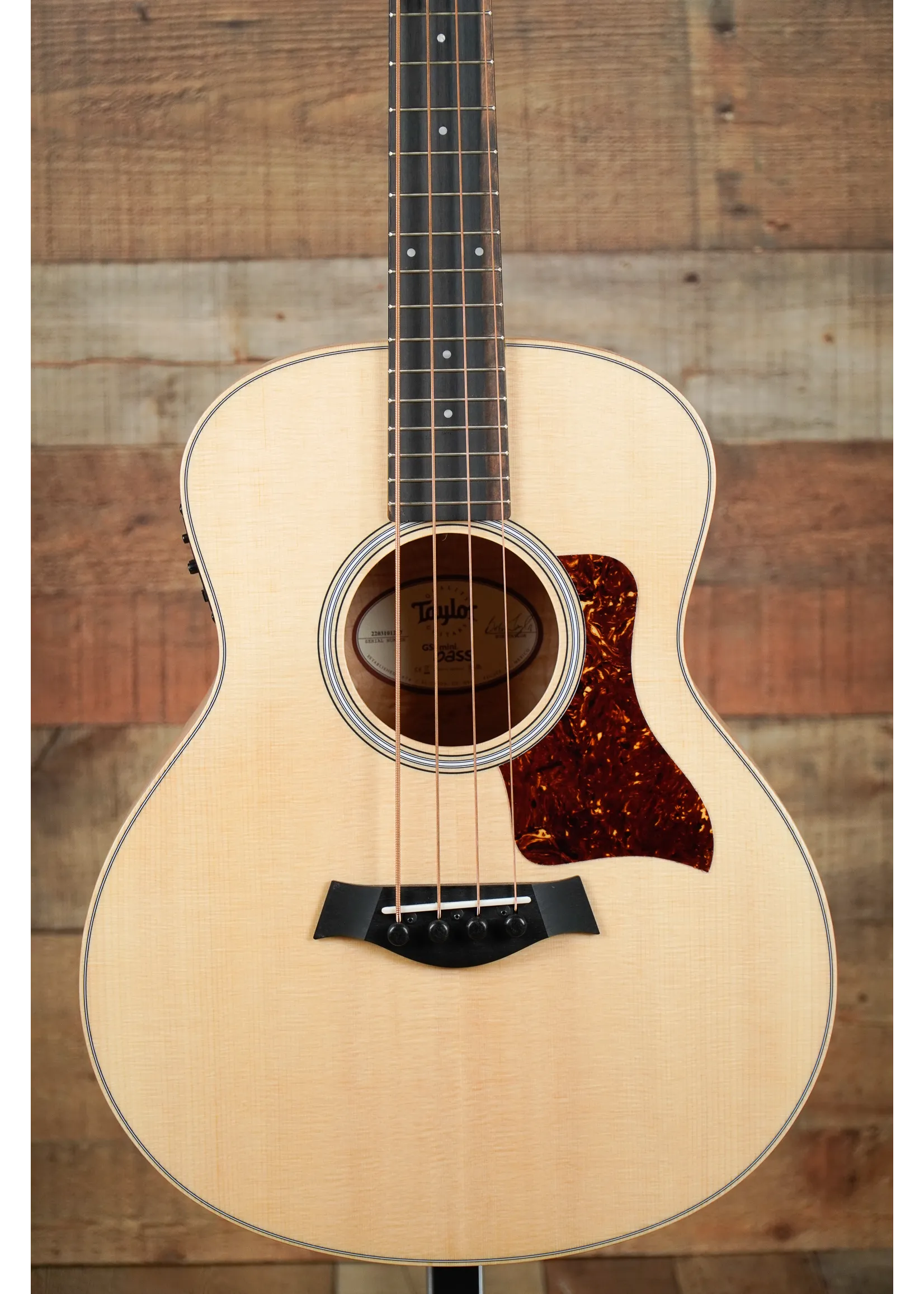 Taylor GS Mini-e