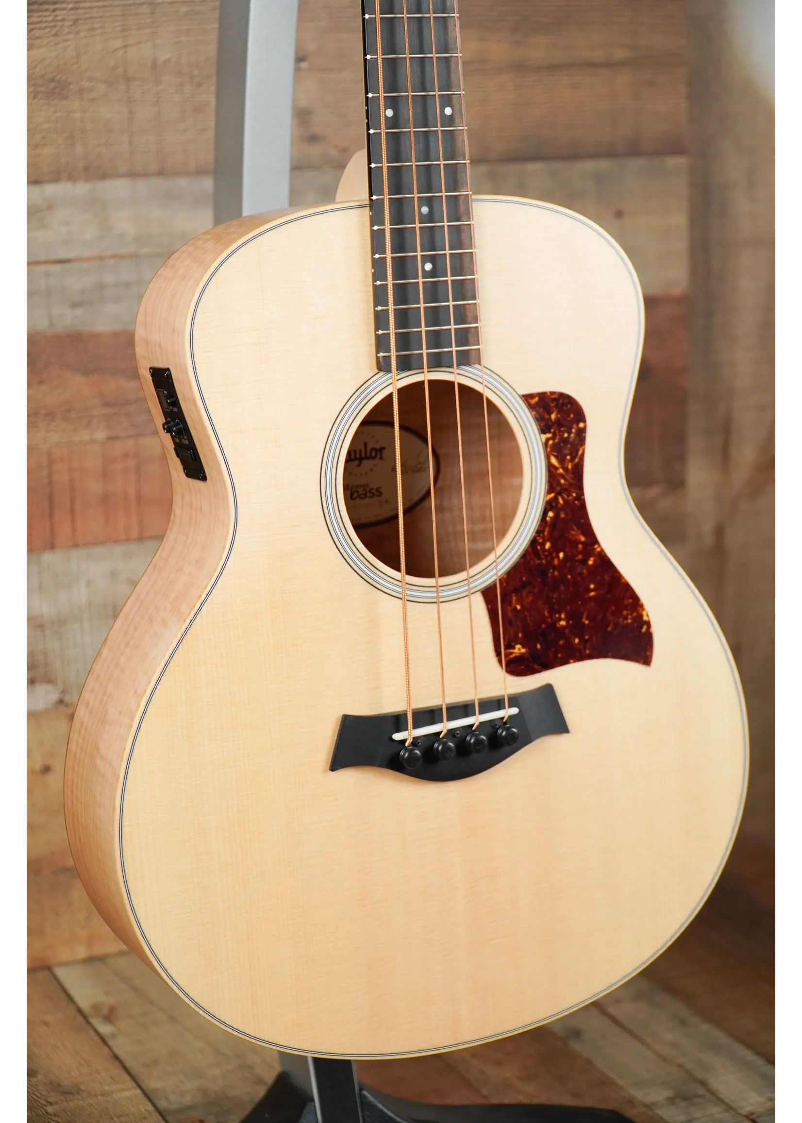 Taylor GS Mini-e