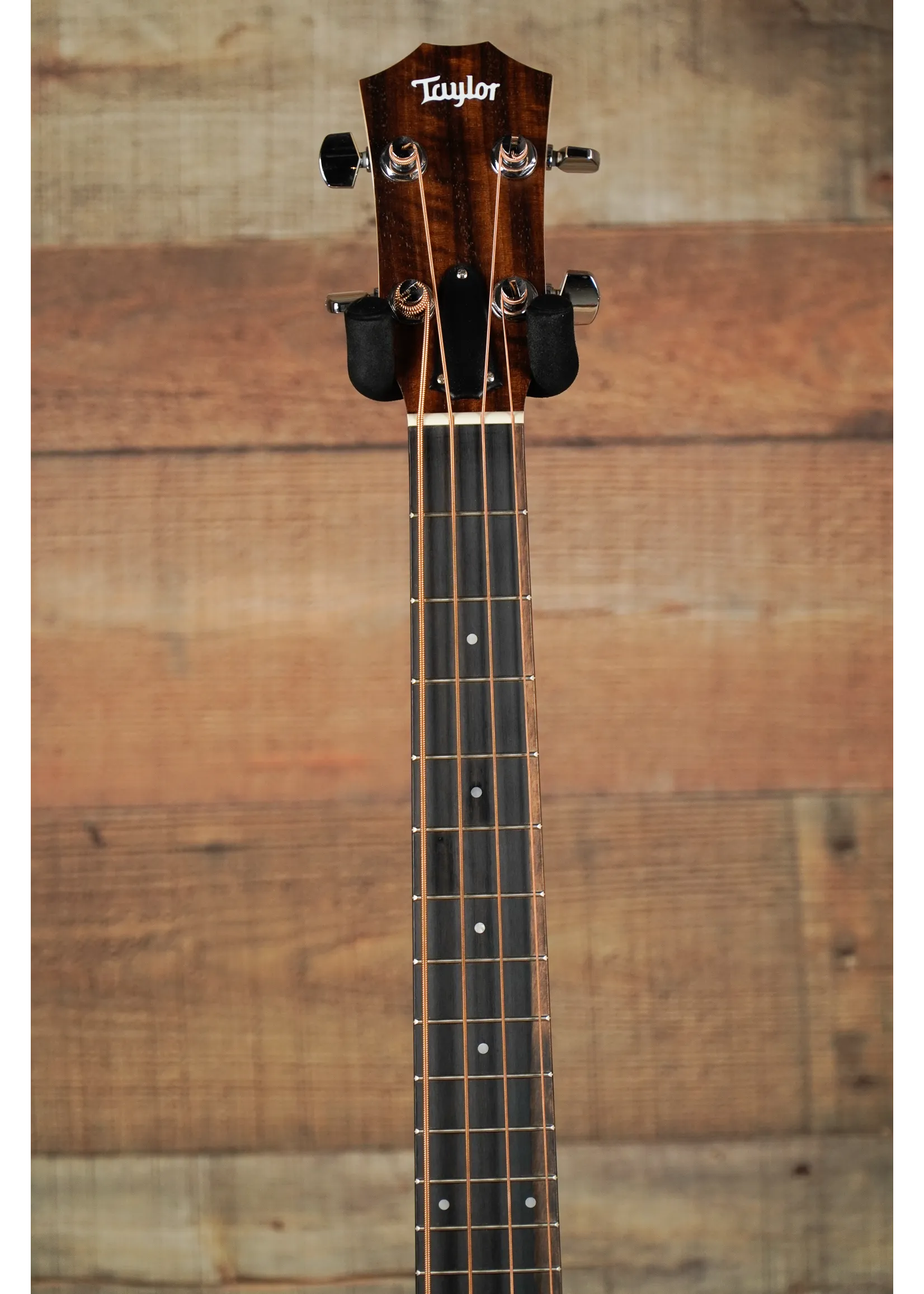 Taylor GS Mini-e