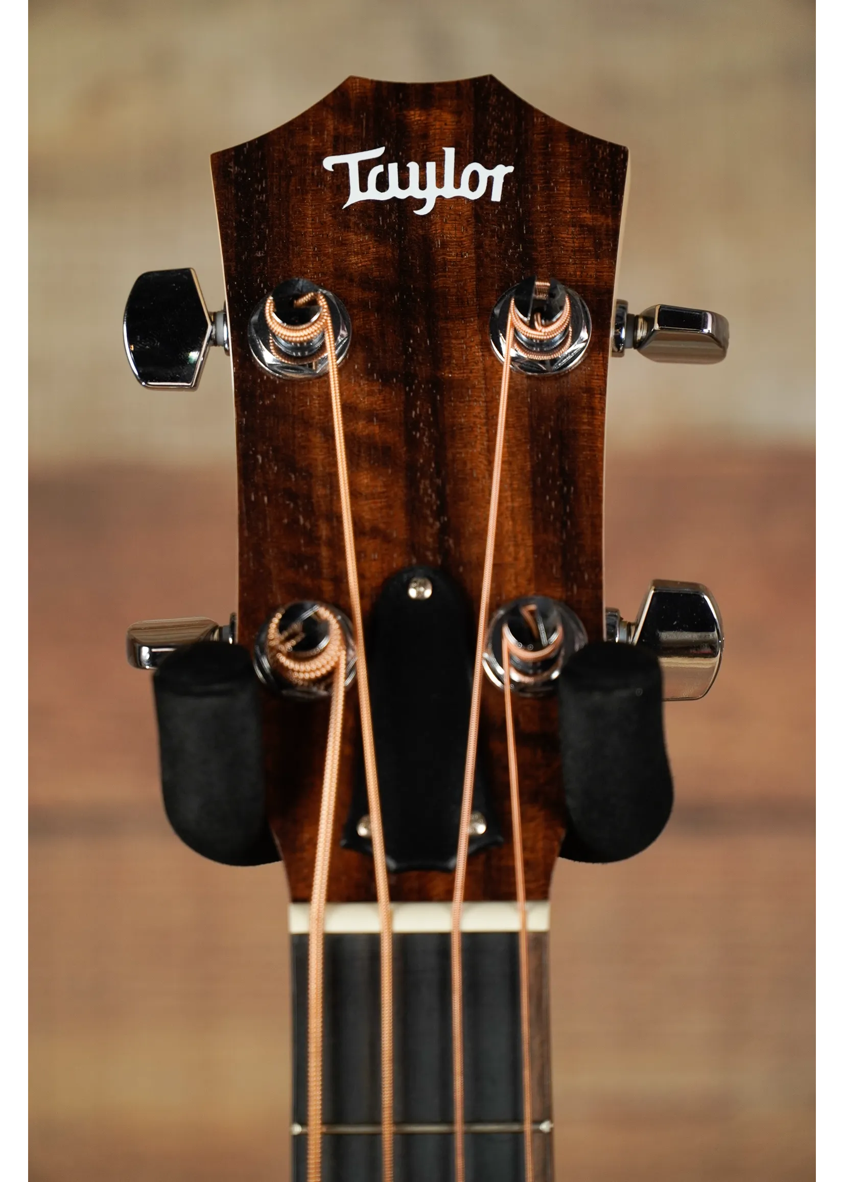 Taylor GS Mini-e