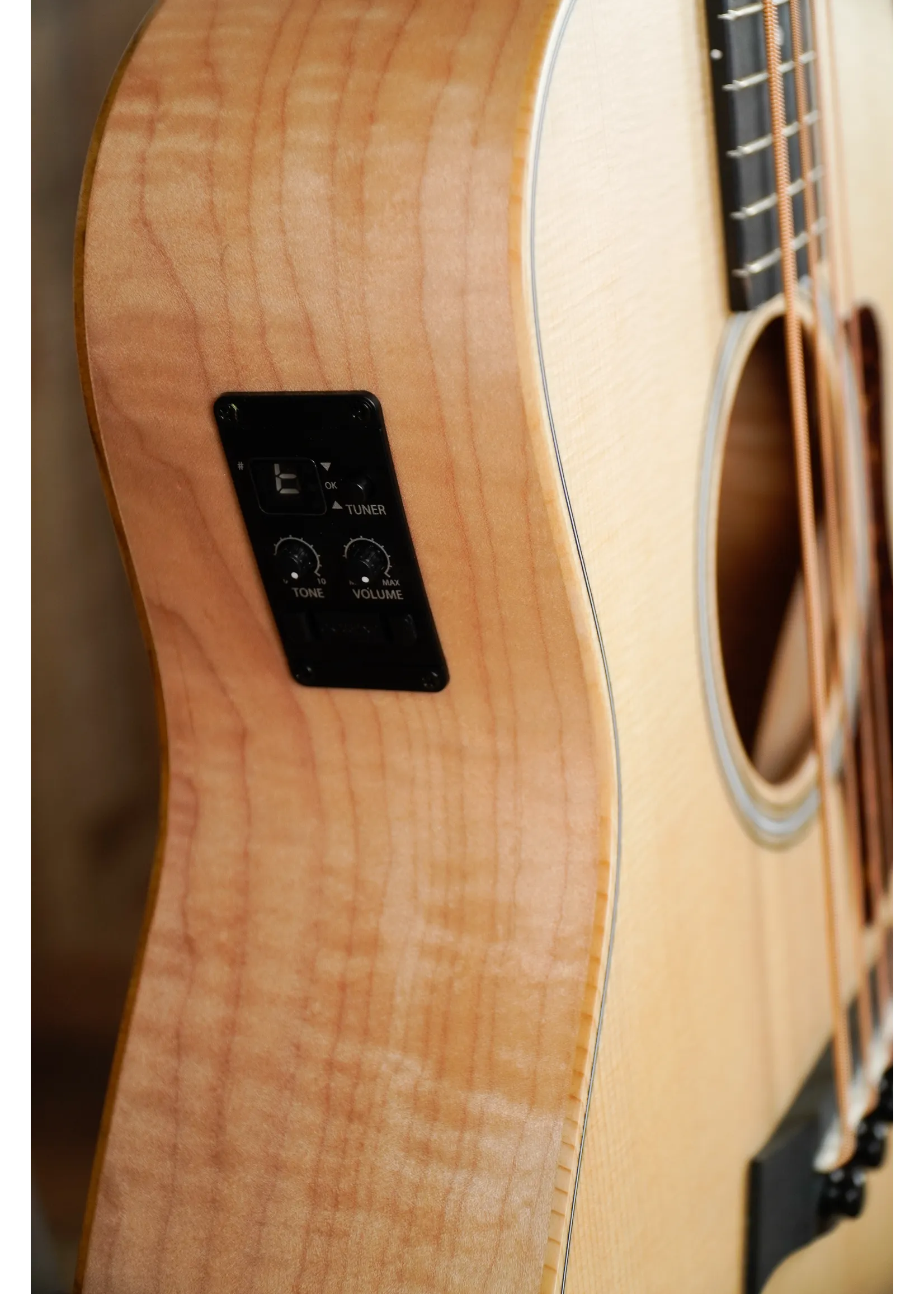 Taylor GS Mini-e