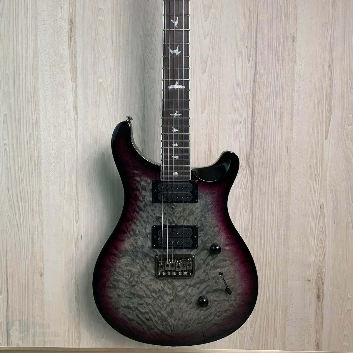 PRS Mark Holcomb SE