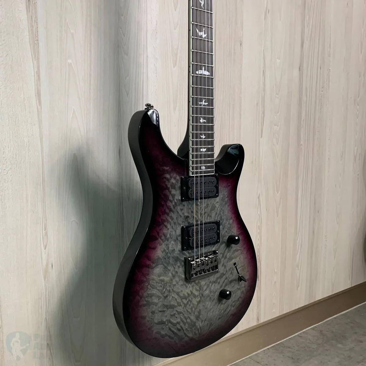 PRS Mark Holcomb SE