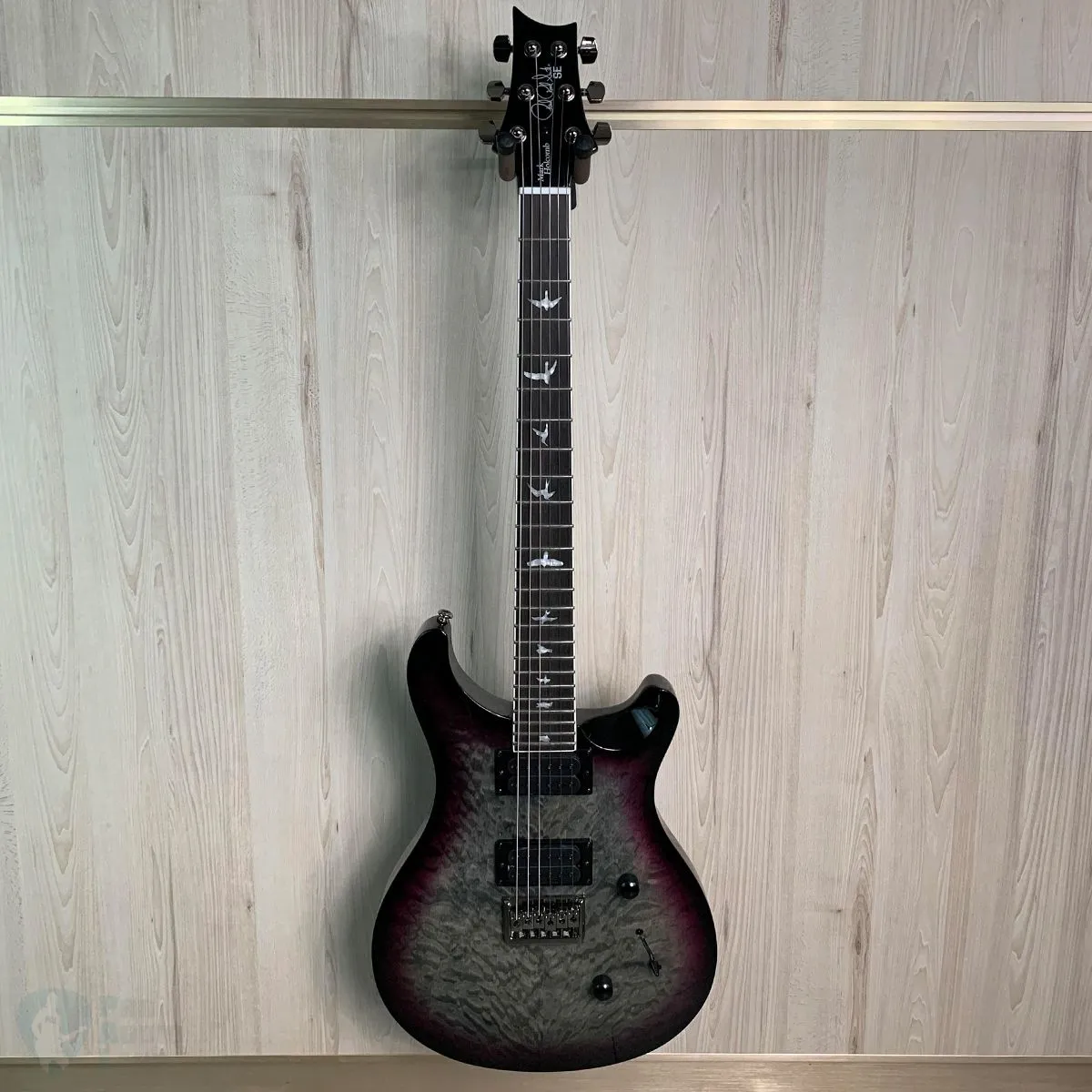 PRS Mark Holcomb SE