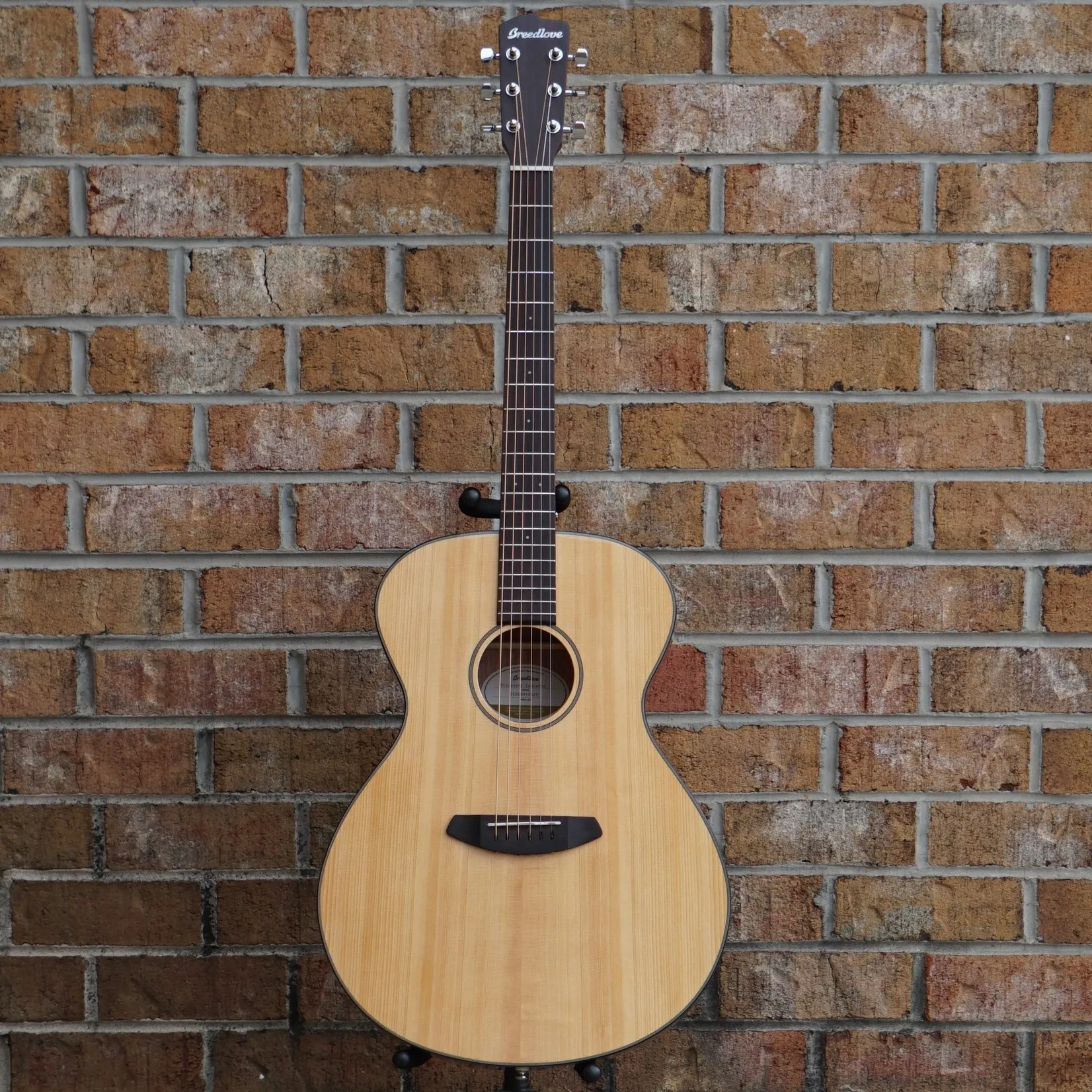 Breedlove Discovery Concerto